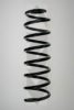 SPIDAN 55735 Coil Spring